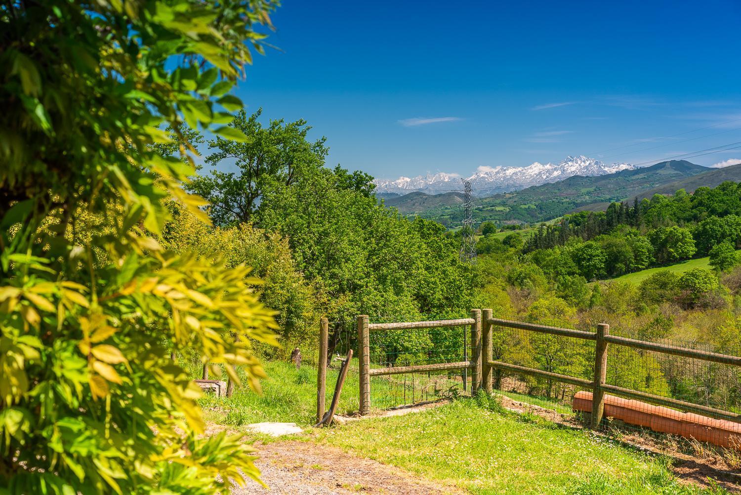 La Casona De Sovina Guest House Piloña Екстериор снимка